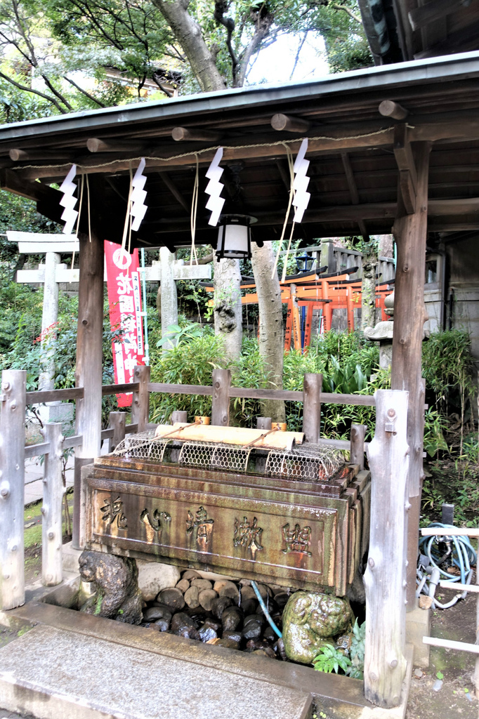 <日本>2017人妻日本放風行DAY1~樁屋珈琲店、上野恩賜公園、不忍池