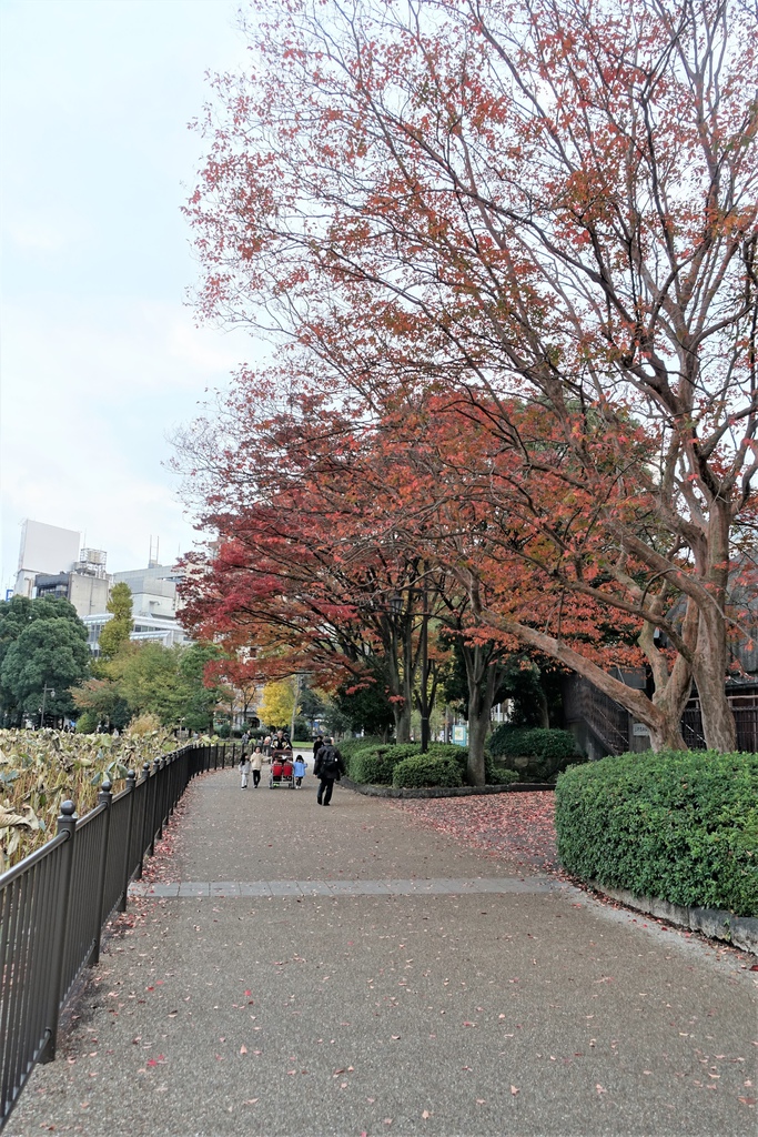 <日本>2017人妻日本放風行DAY1~樁屋珈琲店、上野恩賜公園、不忍池