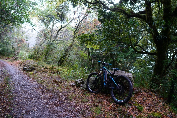 自信人生，一切從Full E+電動登山車開始