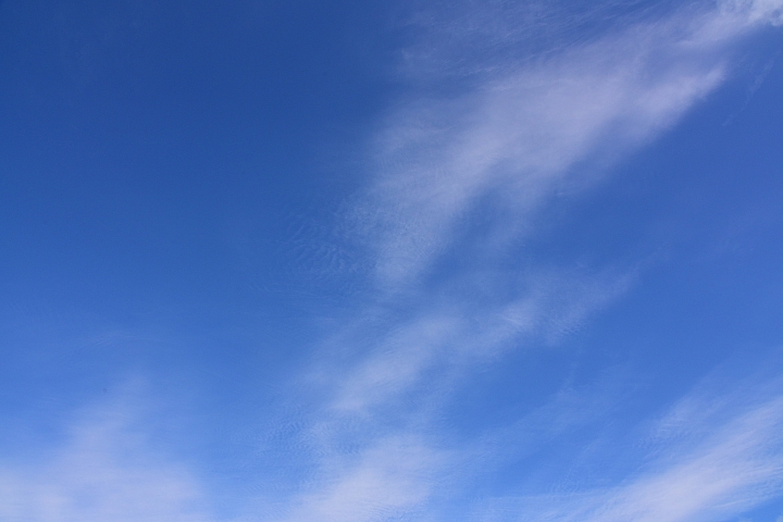 (2月9日、10日無落山風空氣污染嚴重)經常到車城拍魚鷹，其實是要呼吸新鮮空氣，遠離塵霾。