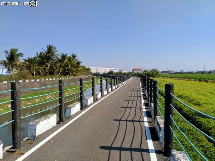 烏桕+蘋婆 台南山海圳綠道 01/14