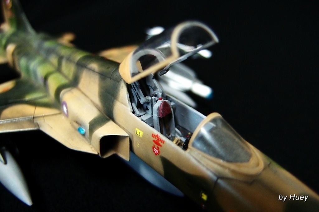 國軍假想敵中隊塗裝F-5E