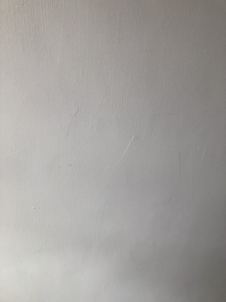 是我太吹毛求疵,還是這師傅批土批的真的很不ok?