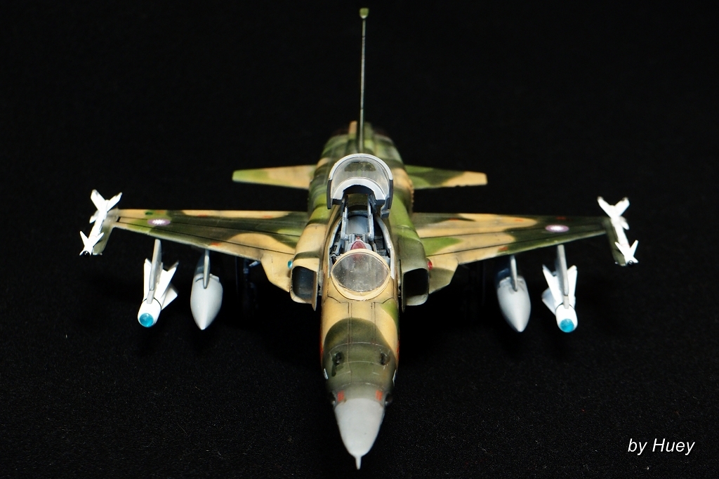 國軍假想敵中隊塗裝F-5E
