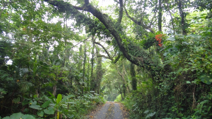 神鵝瞎旅之-永濟義渡碑、開闢鴻荒、八通關社寮線
