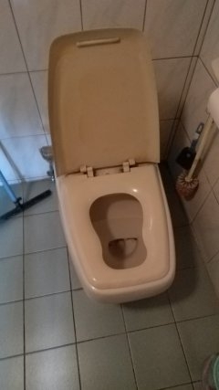 對岸的免治和恆溫馬桶蓋板小開箱