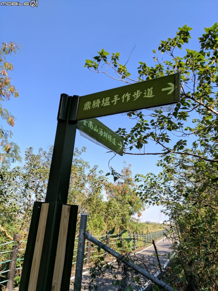 烏桕+蘋婆 台南山海圳綠道 01/14