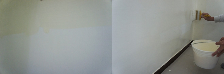 拒絕甲醛存在！給貓主子最無毒的【得利健康居】