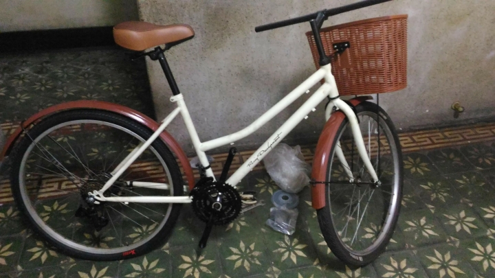 買菜淑女車大變身~~