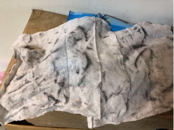 BMW車門膠條的清潔