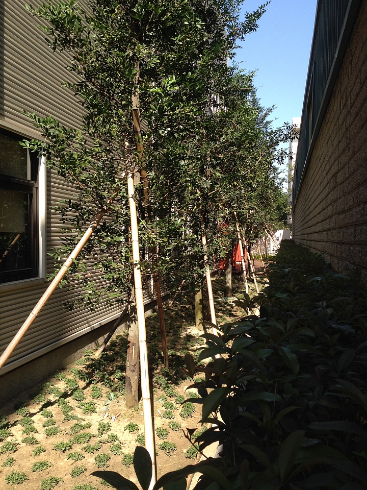 01首發 [新科技綠廠房開箱 - 我的"辛"新廠]