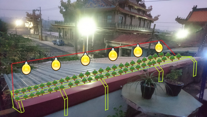 夏天在鐵皮屋上擺放盆栽植物會熱死嗎?