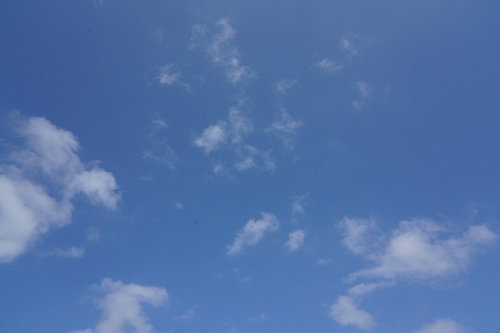 物有所值！Sony FE 24-105 mm F4 G OSS‧旅遊鏡評測（Canon、Nikon、Sigma 同場較勁！）