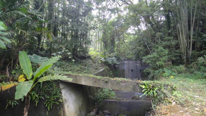 神鵝瞎旅之-永濟義渡碑、開闢鴻荒、八通關社寮線