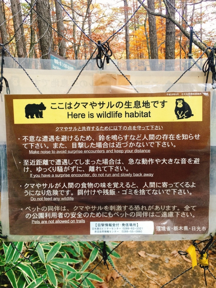 日光,東京-臨時出發也可以 自由行 近郊一日遊 分享