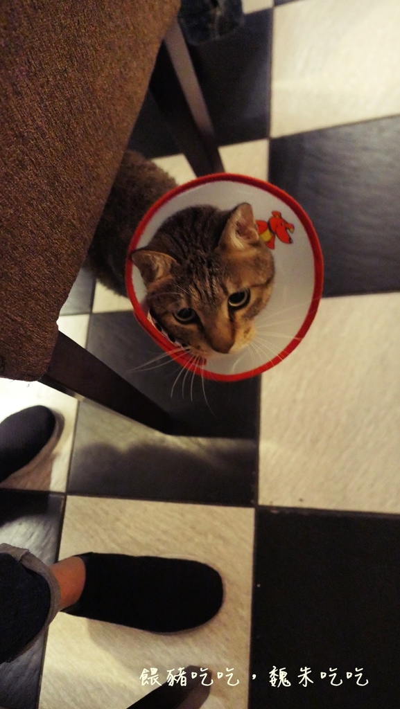 (食)台中 摩德年代Modism Café 咖啡廳應有的樣子