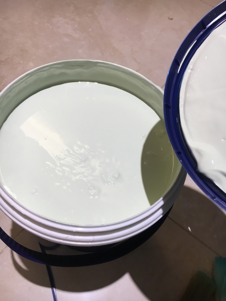 得利竹炭健康居抗甲醛乳膠漆--誰說女孩不能玩油漆~改變顏色就是這麼easy~