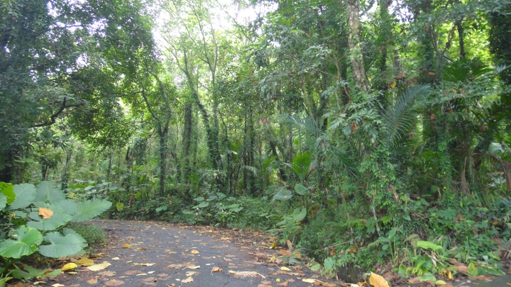 神鵝瞎旅之-永濟義渡碑、開闢鴻荒、八通關社寮線