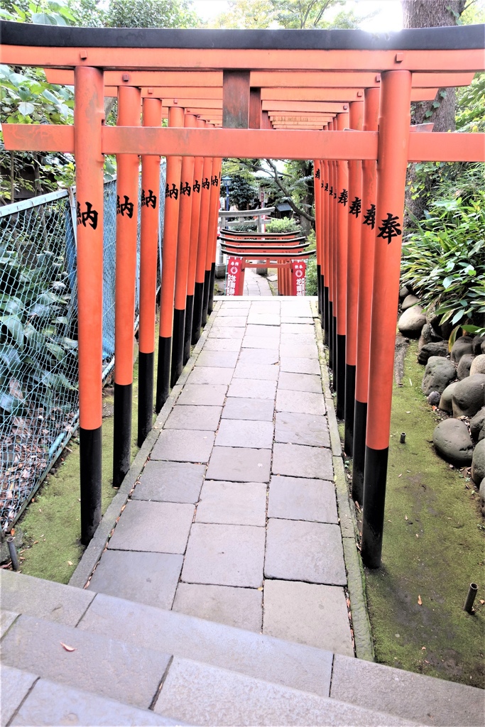 <日本>2017人妻日本放風行DAY1~樁屋珈琲店、上野恩賜公園、不忍池