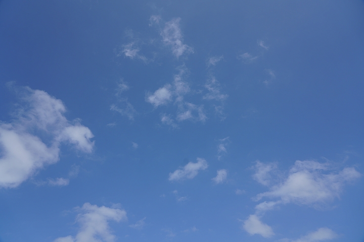 物有所值！Sony FE 24-105 mm F4 G OSS‧旅遊鏡評測（Canon、Nikon、Sigma 同場較勁！）