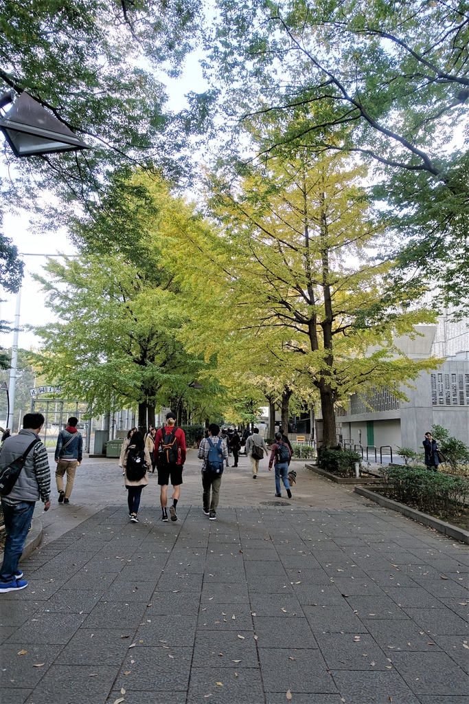 <日本>2017人妻日本放風行DAY1~樁屋珈琲店、上野恩賜公園、不忍池
