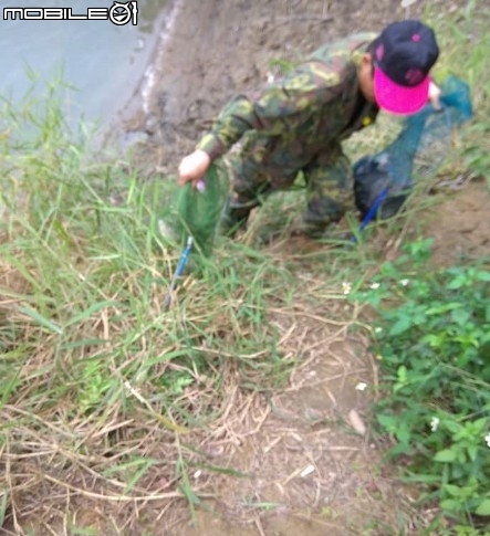 元旦三天釣魚假，這次水庫都是小福居多，沒有二斤級的。