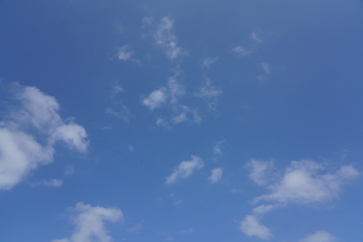 物有所值！Sony FE 24-105 mm F4 G OSS‧旅遊鏡評測（Canon、Nikon、Sigma 同場較勁！）