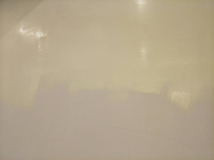 明亮更顯朝氣~得利健康居細沙黃連貓咪也開心!