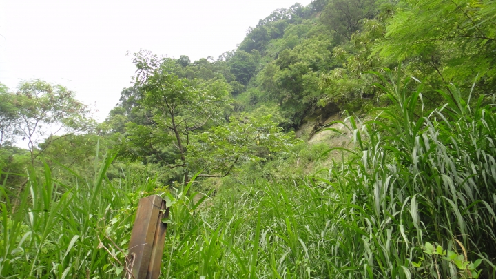 神鵝瞎旅之-永濟義渡碑、開闢鴻荒、八通關社寮線
