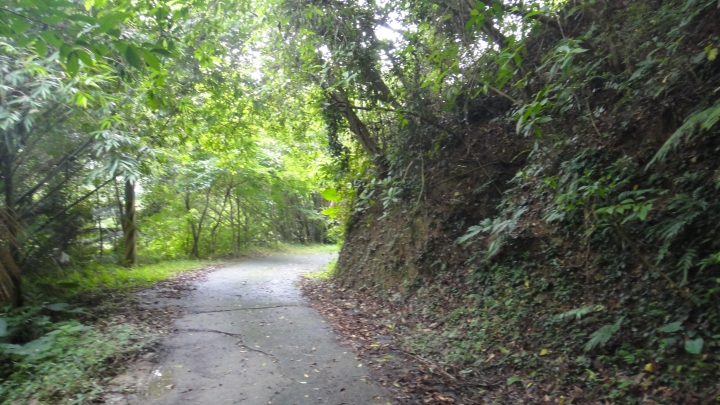 神鵝瞎旅之-永濟義渡碑、開闢鴻荒、八通關社寮線
