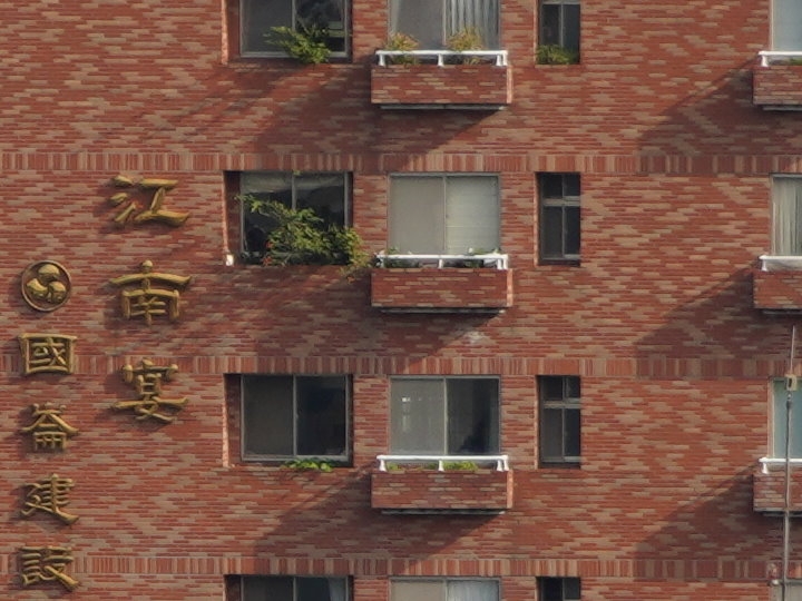 物有所值！Sony FE 24-105 mm F4 G OSS‧旅遊鏡評測（Canon、Nikon、Sigma 同場較勁！）