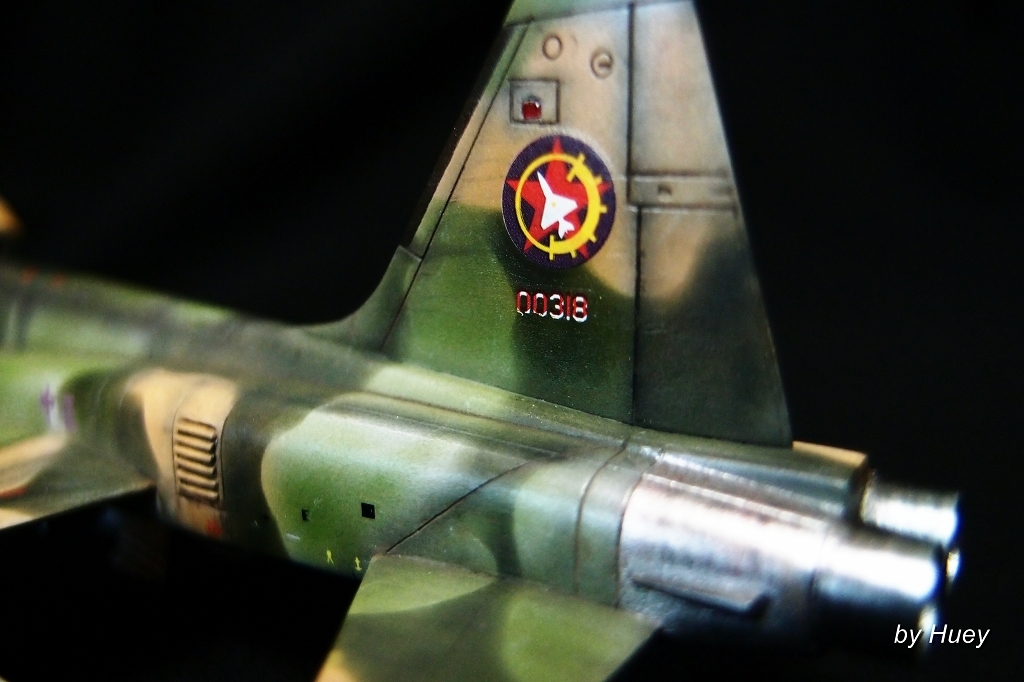 國軍假想敵中隊塗裝F-5E