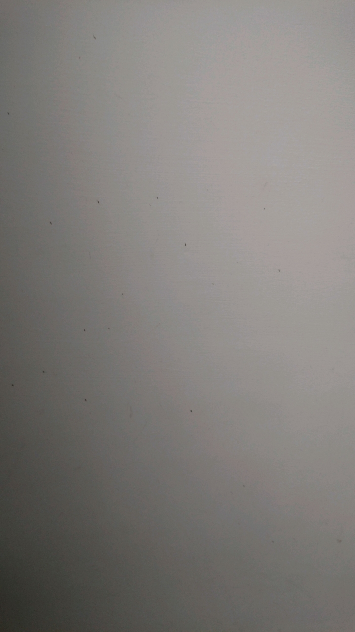 牆壁上的小蟲