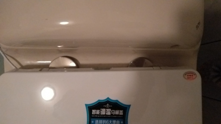 對岸的免治和恆溫馬桶蓋板小開箱