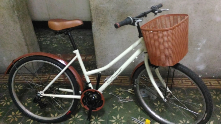 買菜淑女車大變身~~