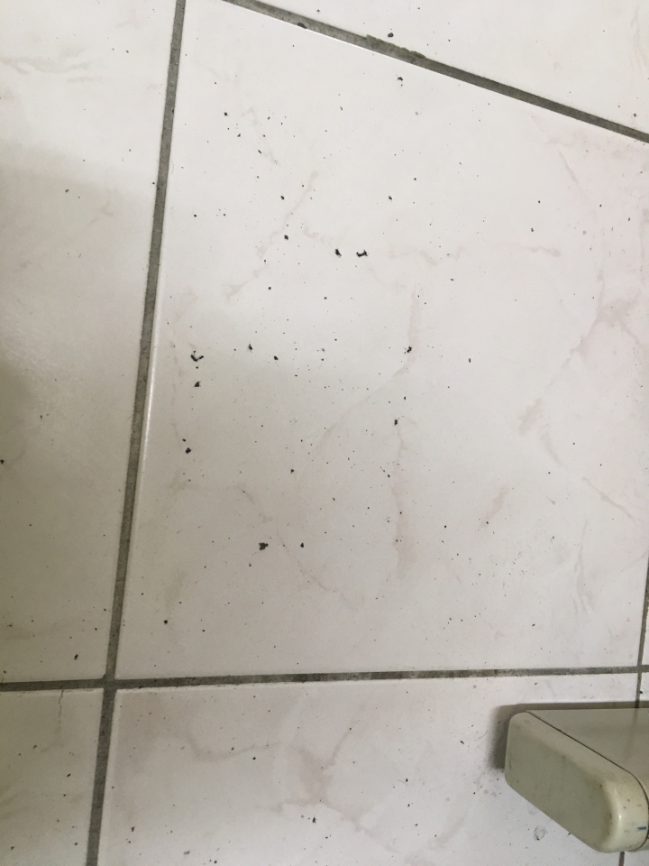 石頭掃地機的拖地功能