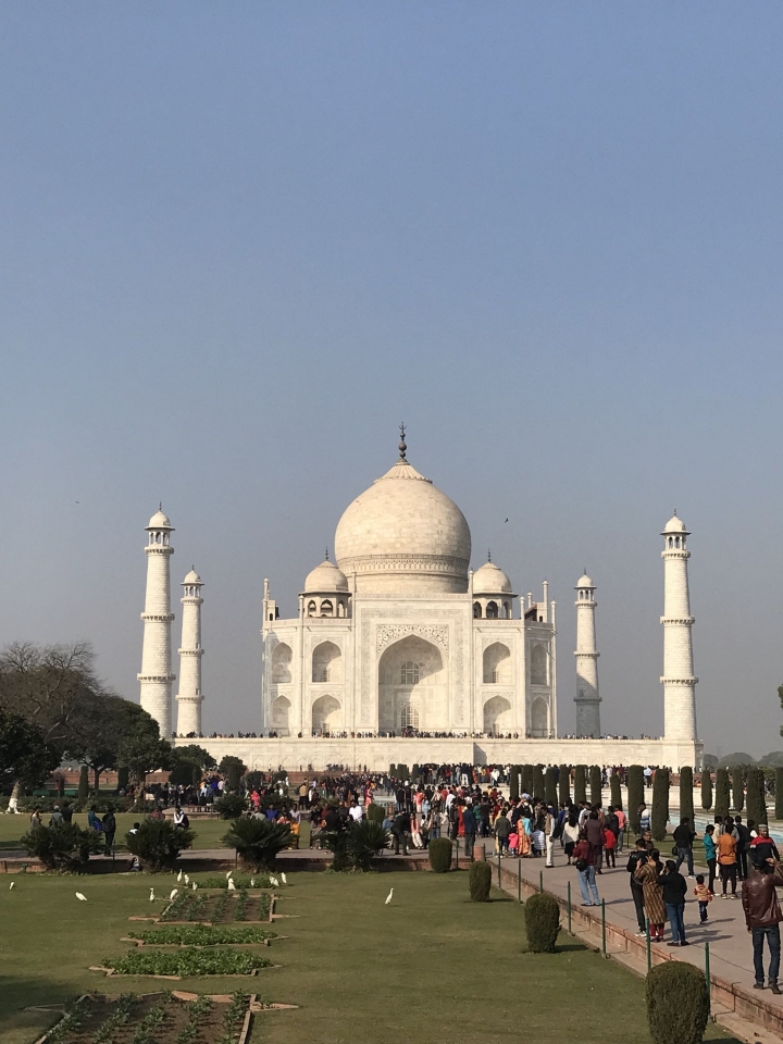 到 印度 Agra, 前一天先到 Agra Fort 遠望 Taj Mahal, 然後次日入 泰陵 感覺真優...