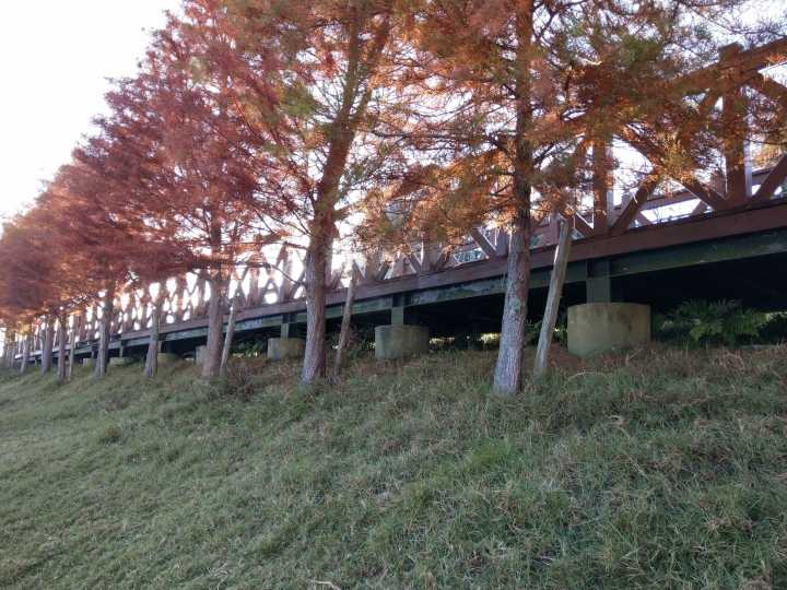 不一樣的跨年，帶U11+上山隨拍