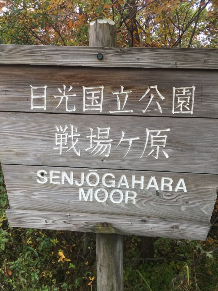 日光,東京-臨時出發也可以 自由行 近郊一日遊 分享