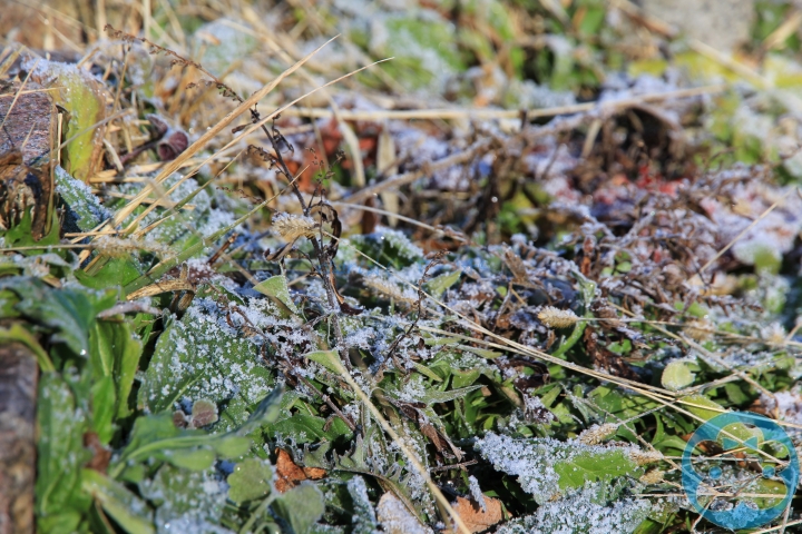 [遊記] 初訪只見線第一、第二只見川橋梁