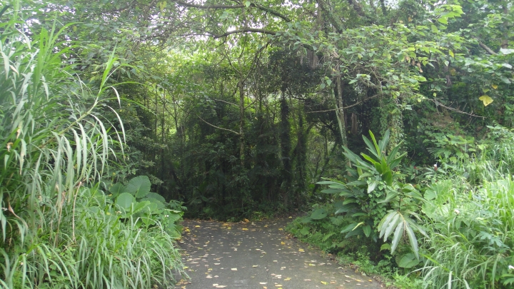 神鵝瞎旅之-永濟義渡碑、開闢鴻荒、八通關社寮線