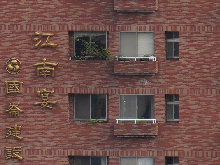 物有所值！Sony FE 24-105 mm F4 G OSS‧旅遊鏡評測（Canon、Nikon、Sigma 同場較勁！）