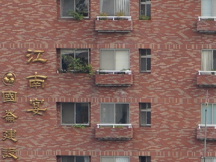 物有所值！Sony FE 24-105 mm F4 G OSS‧旅遊鏡評測（Canon、Nikon、Sigma 同場較勁！）