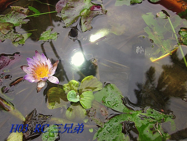 H03 RC三兄弟多用型磁吸充電頭燈