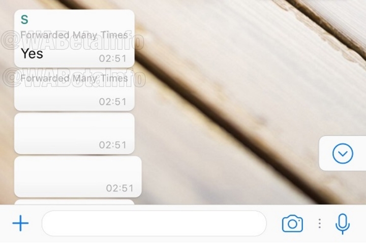 【臉書測試中】防堵假消息！WhatsApp頻繁轉發將有提醒與檢舉機制