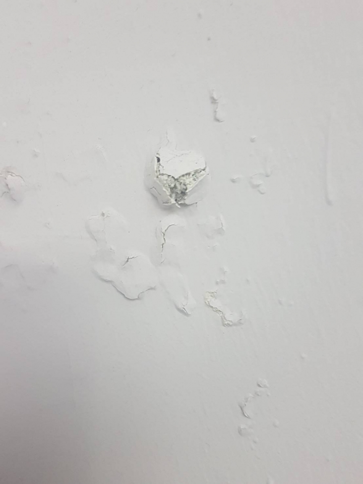 廁所牆隔壁房間，壁癌處理方式?