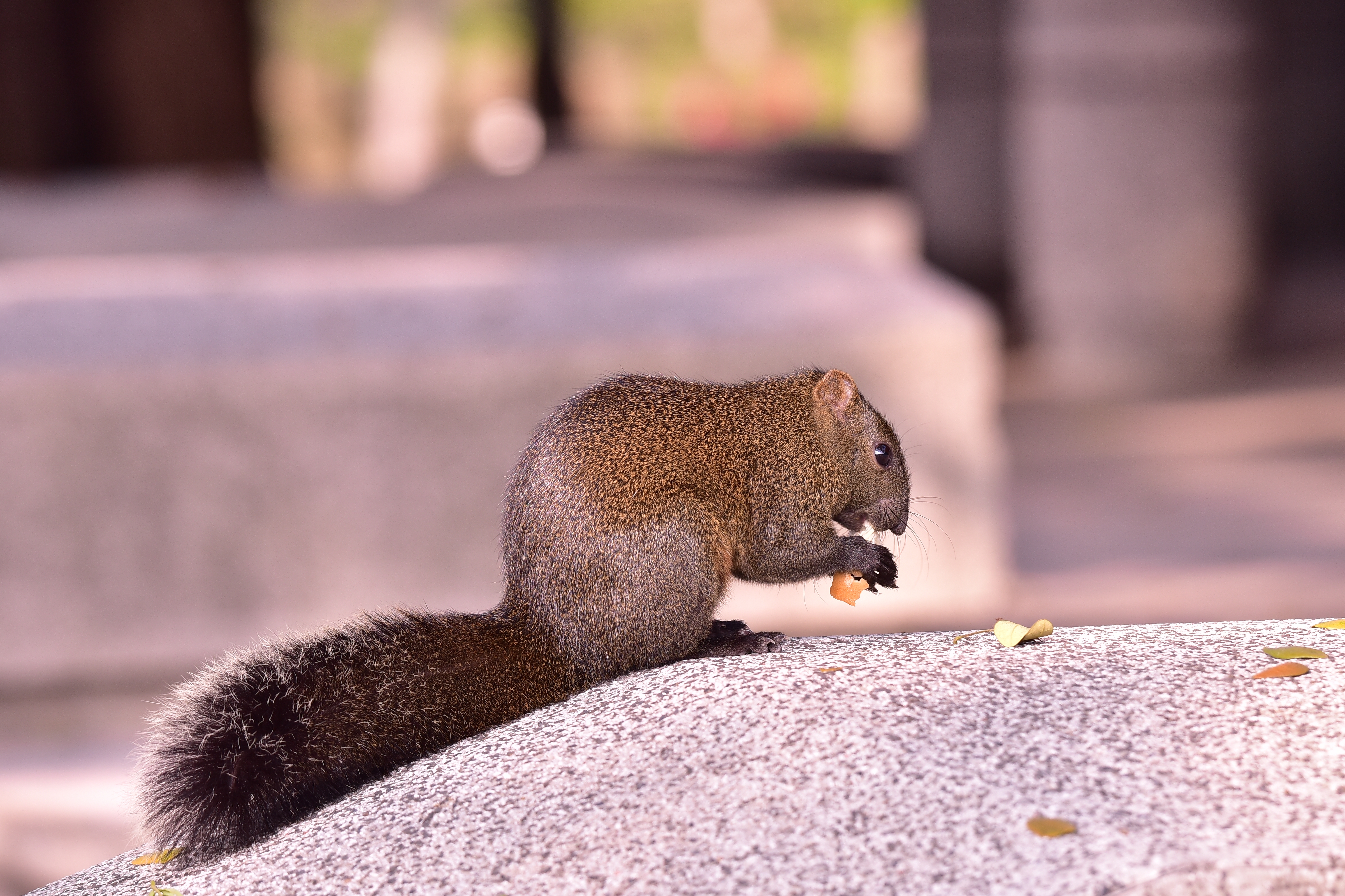TAMRON 100-400mm A035