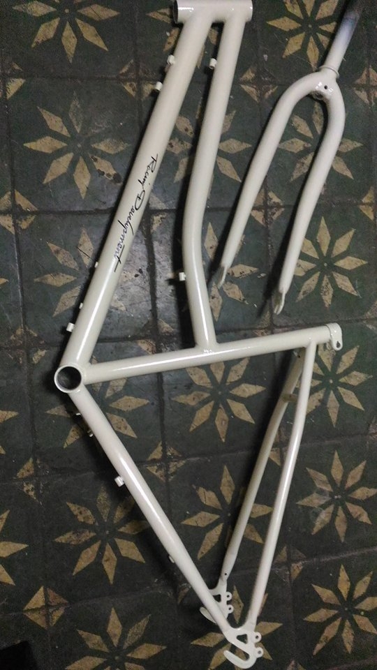 買菜淑女車大變身~~