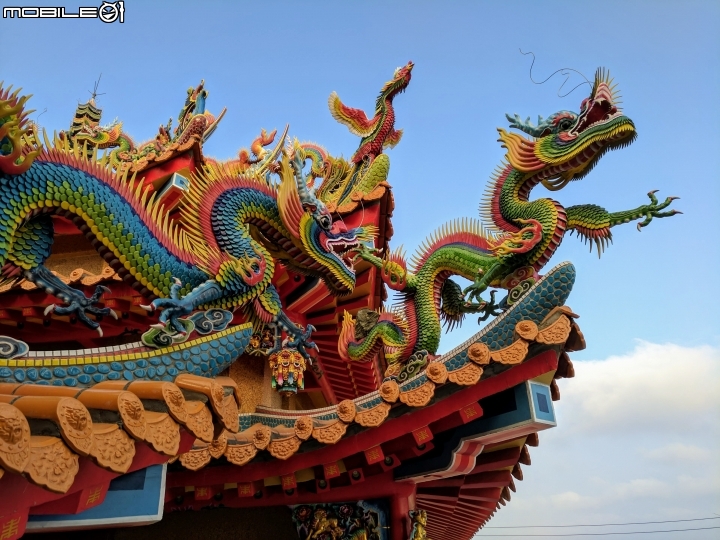 掌上珠落地生根 台南市七股區井仔腳12/30