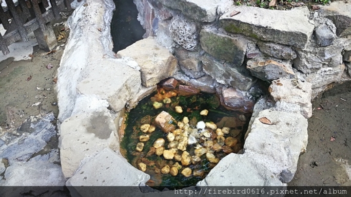 [新竹縣五峰鄉]清泉風景特定區--張學良故居/三毛夢屋/桃山國小/將軍湯清泉溫泉/原住民文化會館（往雪霸國家公園/山上人家路上）